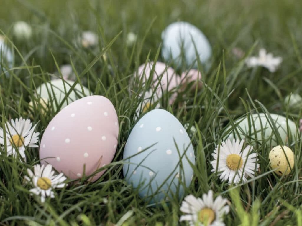 Online PAAS BBQ workshop